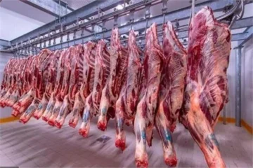 بأسعار مخفضة للمواطنين.. أسعار اللحوم البلدي في منافذ وزارة الزراعة
