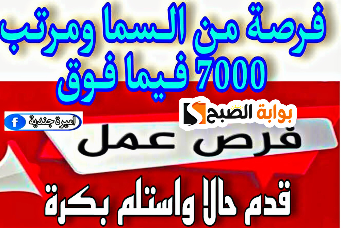 "شغل من حظك" وظائف وزارة العمل للشباب والبنات في معظم المحافظات بمرتبات شهرية مجزية 2 “شغل من حظك” وظائف وزارة العمل للشباب والبنات في معظم المحافظات بمرتبات شهرية مجزية