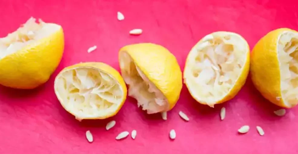 اختراع في الجون لكل ست حطي قشر الليمون في الشمس 3 ايام وشوفي الكنز هتوفري فلوس السنين الحقي اعمليه قبل رمضان هيفيدك كتير 5 اختراع في الجون لكل ست حطي قشر الليمون في الشمس 3 ايام وشوفي الكنز هتوفري فلوس السنين الحقي اعمليه قبل رمضان هيفيدك كتير