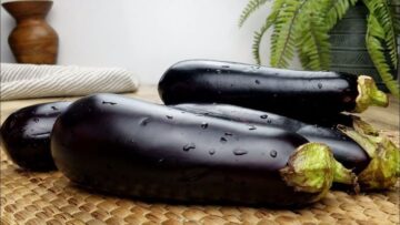 وفري ونوعي..وصفات بالباذنجان كلها سهلة ولذيذة