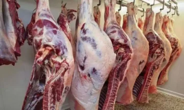 أسعار اللحوم في مصر.. اعرف أسباب الزيادة ودور الحكومة في مواجهة الغلاء