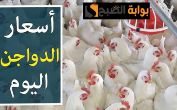 “خزني قبل رمضان”.. أسعار الدواجن اليوم الخميس 22 فبراير 2024 في بورصة الدواجن.. اعرف الفراخ البيضاء بكام