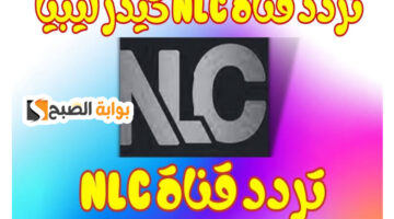 D20F8A0F 921B 4794 B8CE E911AA7EFF33