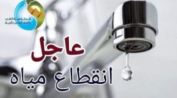 FB IMG 1708557447748