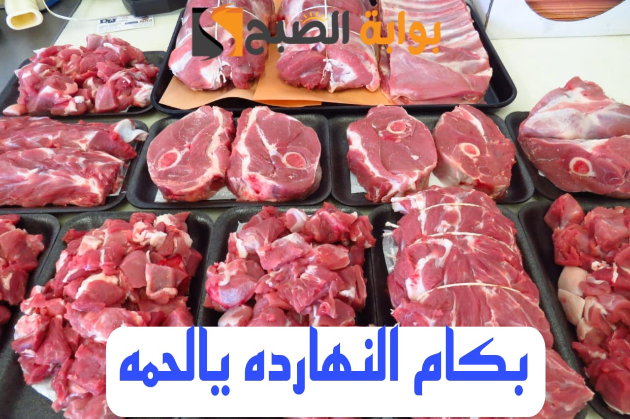 “بكام اللحمة ياعم”.. تعرف على أسعار اللحوم اليوم الخميس 15 فبراير 2024 في الأسواق والمحلات!