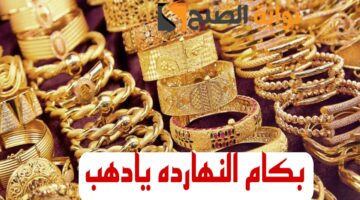 IMG 20240215 WA0021