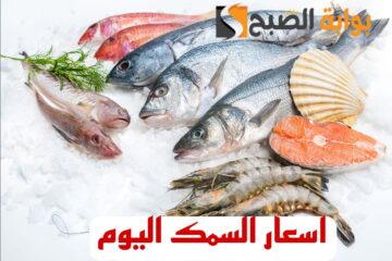 “البلطي بكام النهاردة؟” إليكم أسعار السمك اليوم الخميس 15 فبراير 2024 في مصر..!!
