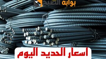 IMG 20240216 WA0002