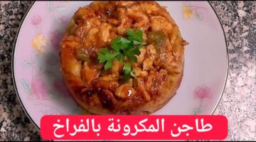 IMG 20240217 WA0019 1