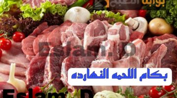 IMG 20240218 WA0023