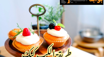 IMG 20240202 133710