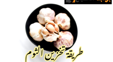 IMG 20240202 200411