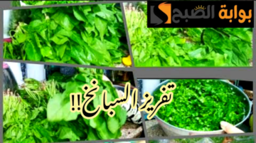 تفريز السبانخ… طريقة تخزين السبانخ من السنة للسنة بدون سليق.. جهزي سفرة رمضان بأطيب طبخة!!