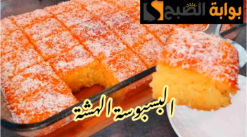 IMG 20240203 205254