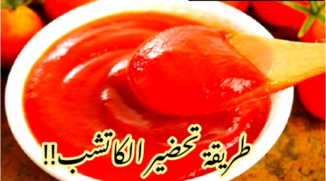 IMG 20240204 112652