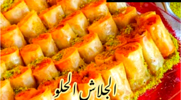 IMG 20240205 121411