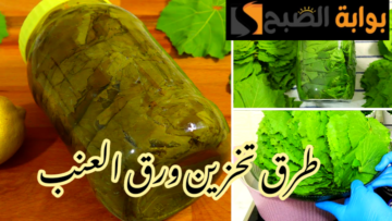 مش هتحتاري في تخزينه تاني… أكثر من طريقة لتخزين ورق العنب من السنة للسنة بدون ما يتغير طعمه؟!!
