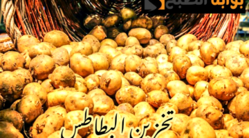 IMG 20240208 190734