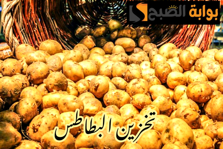 مش هتعفن تاني... ما هي أفضل طريقة لتخزين البطاطس من السنة للسنة بدون تلف؟!! 5 مش هتعفن تاني… ما هي أفضل طريقة لتخزين البطاطس من السنة للسنة بدون تلف؟!!