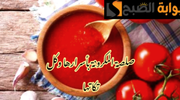 IMG 20240209 064726