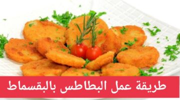 IMG 20240210 024350
