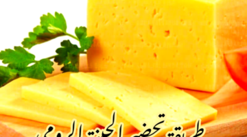 IMG 20240210 134719