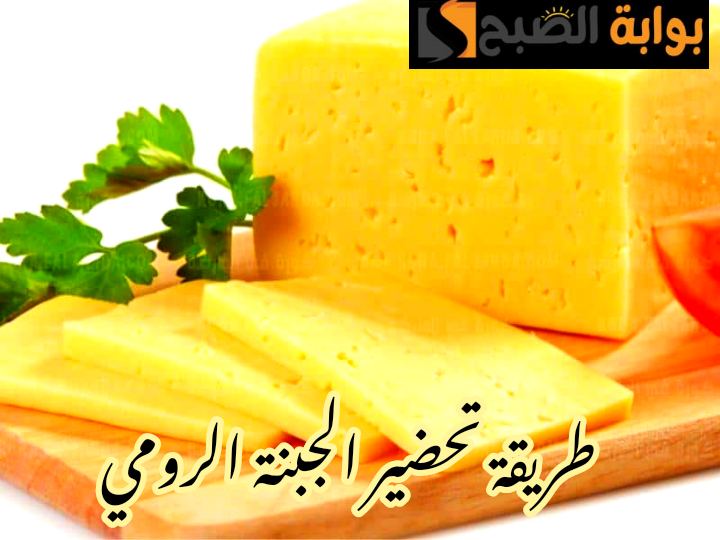 بالطعم الأصلي وأقل التكاليف... طريقة تحضير الجبنة الرومي في المنزل بمكونات بسيطة واقتصادية؟!! 6 بالطعم الأصلي وأقل التكاليف… طريقة تحضير الجبنة الرومي في المنزل بمكونات بسيطة واقتصادية؟!!