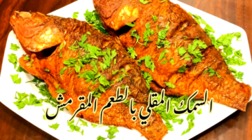 IMG 20240216 020657