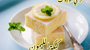 IMG 20240216 111131