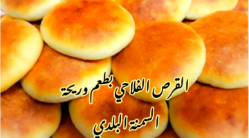 IMG 20240216 141818
