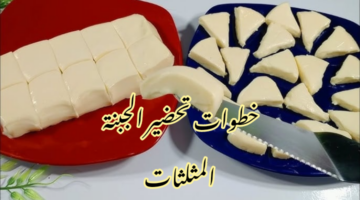 IMG 20240217 032910