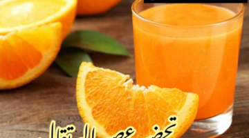 IMG 20240217 153116