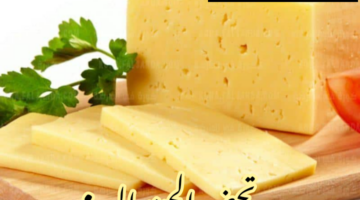 IMG 20240217 154446