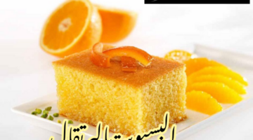 IMG 20240217 155141