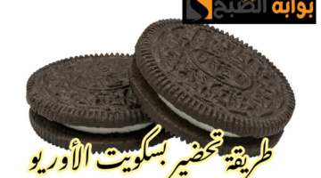IMG 20240219 103105