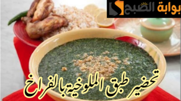 IMG 20240220 095743