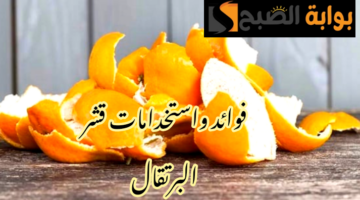 IMG 20240222 063244