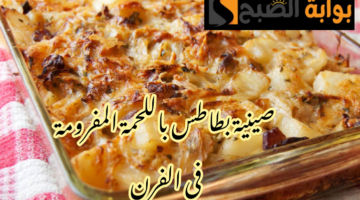 IMG 20240224 121717