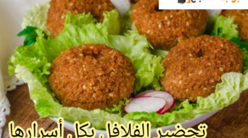 IMG 20240226 071433
