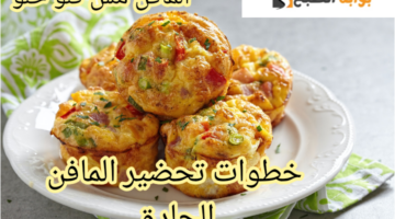 IMG 20240226 113617