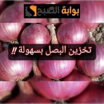 وداعاً للثلاجة! خليكي ست بيت ناصحة واتعلمي تخزين البصل لمدة سنة كاملة دون تلف!