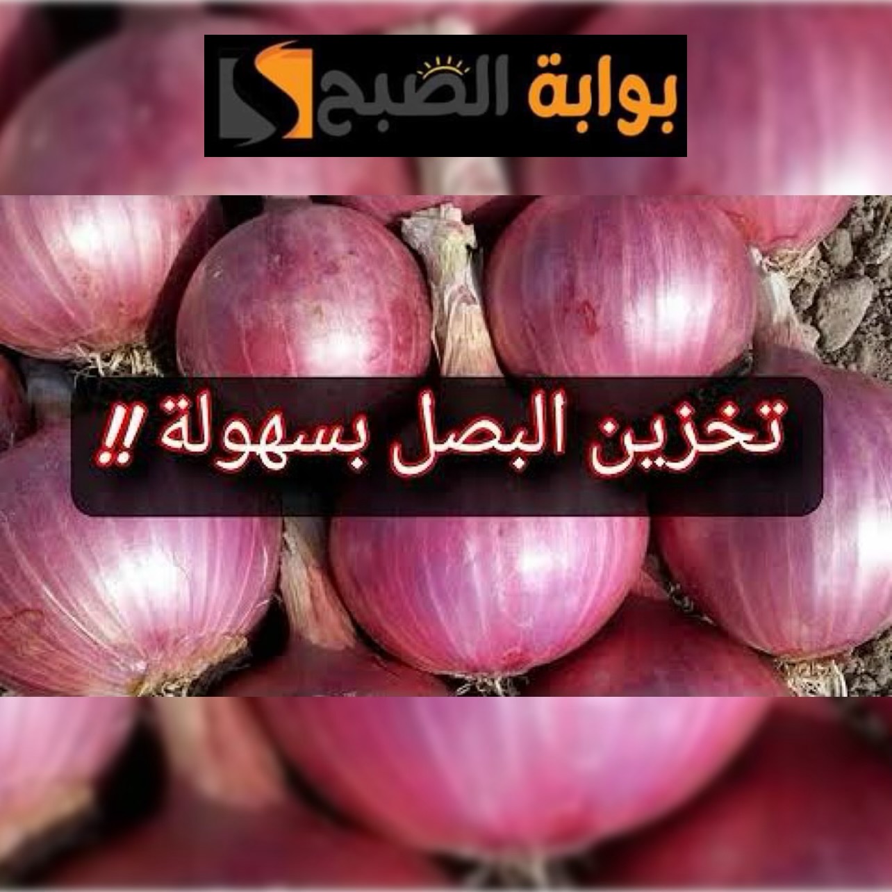 وداعاً للثلاجة! خليكي ست بيت ناصحة واتعلمي تخزين البصل لمدة سنة كاملة دون تلف! 5 وداعاً للثلاجة! خليكي ست بيت ناصحة واتعلمي تخزين البصل لمدة سنة كاملة دون تلف!
