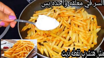 IMG ٢٠٢٢٠٣٠٦ ٠٥٢٢٠١ 1