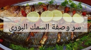 IMG ٢٠٢٤٠٢٠٣ ٠٠١٤٠٢