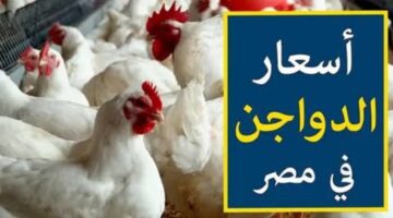 IMG ٢٠٢٤٠٢٠٣ ٠٩٤٦٢٢