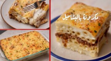 IMG ٢٠٢٤٠٢٠٣ ١١٢٥٤١