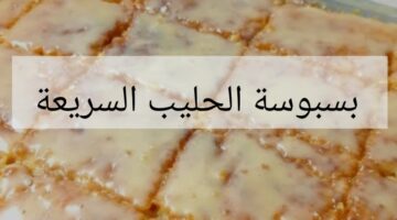 IMG ٢٠٢٤٠٢٠٣ ١٧٠٠٥٥