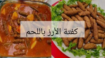 IMG ٢٠٢٤٠٢٠٣ ١٧٥٢٢٦