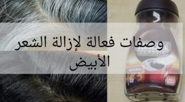 IMG ٢٠٢٤٠٢٠٤ ٠٠١٧٠٦