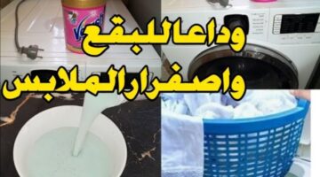 IMG ٢٠٢٤٠٢٠٦ ١١٤١٣٩